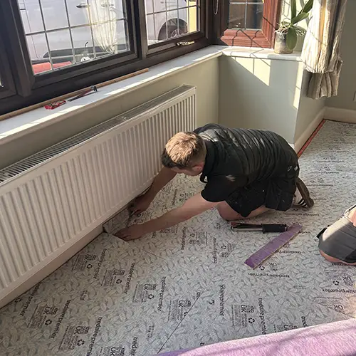 Carpet Bug Pest Control Nottingham