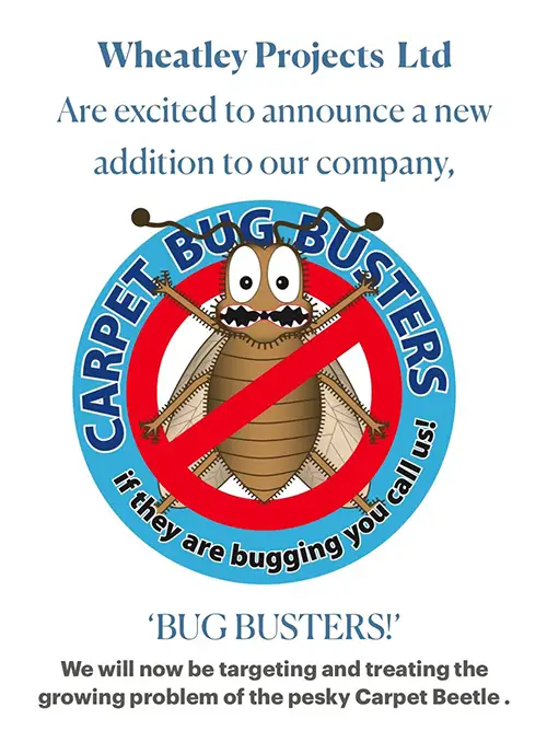 Carpet Bug Pest Control Nottingham